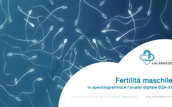 Fertilit&agrave; maschile