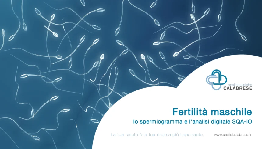 Fertilit&agrave; maschile